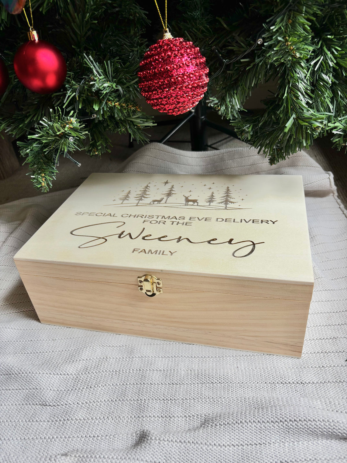 Special Christmas Delivery