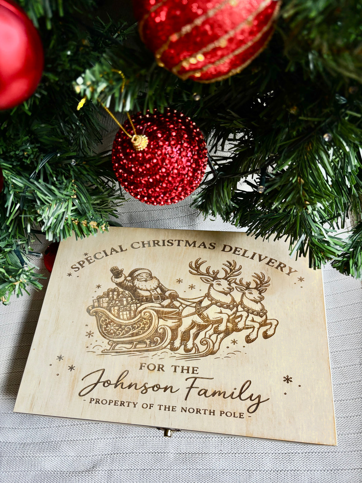 Special Christmas Delivery